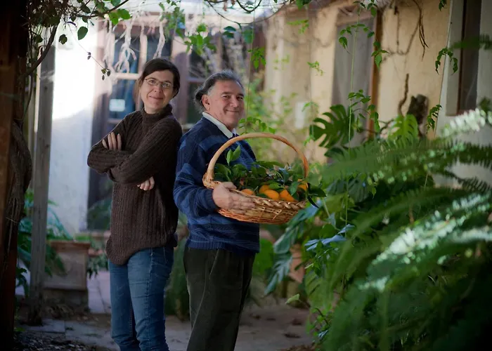 Апарт-отель Le Del Vivaio Шакка