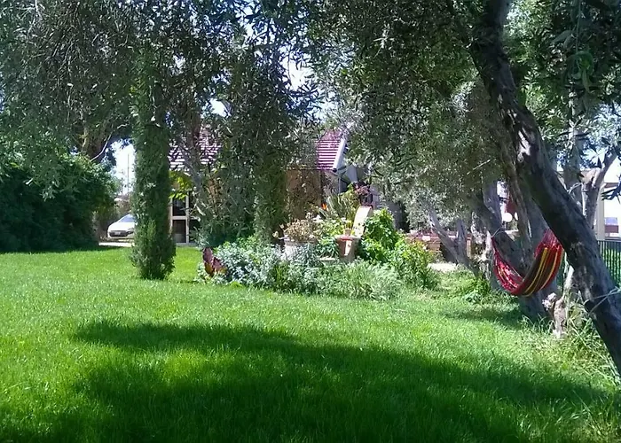 Le Del Vivaio Шакка